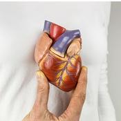 Podcast CARDIOMYOPATHIES MATTER
