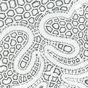 Podcast Cell to cell