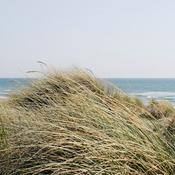 Podcast Central Church - A church in Edinburgh, Scotland