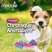 Podcast Chronique Animalière - Radio Mélodie