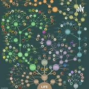 Podcast Clasificación De Los Seres Vivos