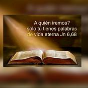 Podcast Comentario al Evangelio del día