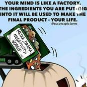 Podcast Crossy Adventures Podcast