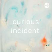 Podcast curious incident