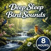 Podcast Deep Sleep Bird Sounds