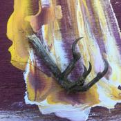 Podcast ombligo poesófiko ᕦ⁠⊙⁠෴⁠⊙⁠ᕤ