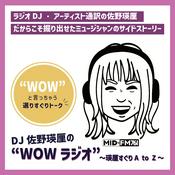 Podcast DJ佐野瑛厘の”WOWラジオ”～瑛厘すぐりA to Z～
