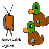 Podcast Ducks Watch Together