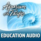 Podcast Education Audio