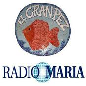 Podcast El Gran Pez - Radio María (Podcast) - www.poderato.com/granpez