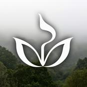 Podcast Estudo Piano para Estudar