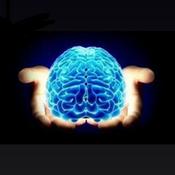 Podcast everybody brain