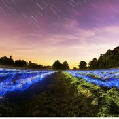 Podcast Explore the Nature