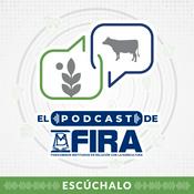 Podcast FIRA Podcast