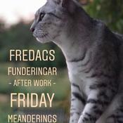 Podcast Fredags Funderingar - After Work - Friday Meanderings
