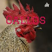 Podcast Gallos