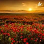 Podcast Give Me Wonderful Love