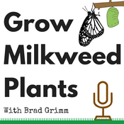 Podcast Grow Milkweed Plants