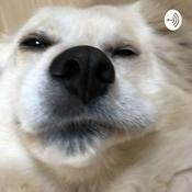 Podcast podcast