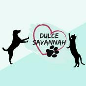 Podcast Historias de Perros & Gatos