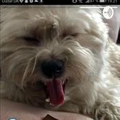 Podcast Hugo's talkshow