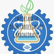 Podcast IMPORTANCIA DELMETABOLISMO DE CARBOHIDRATOS