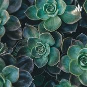 Podcast Bincang Bebas