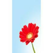 Podcast INTRODUCCIÓN AL ESOTERISMO por Jesús Jurado