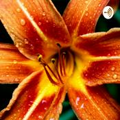 Podcast Jonathan Hernandez