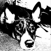 Podcast Karo & Antonija