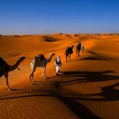 Podcast ====كلمات الحياة" ، "ترانيم الإنجيل" ، "الأخبار السارة" - باللغات الرئيسية المستخدمة في الجزائر" / "Paroles de Vie", "Chants de l'Évangile", "Bonnes Nouvelles" - Dans les Principales Langues Parlées en Algérie ====