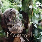 Podcast Koala- Mammals