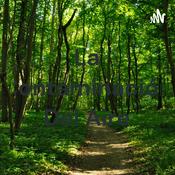 Podcast La Contaminación Del Aire