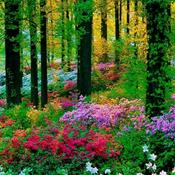 Podcast La Contaminación del Aire