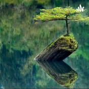 Podcast La reciprocidad