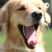 Podcast Las aventuras de Daniel y Max, los beneficios de tener un perro