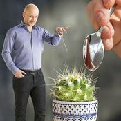Podcast Le cactus
