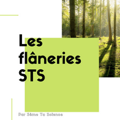 Podcast Les flâneries STS