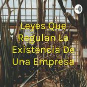 Podcast Leyes Que Regulan La Existencia De Una Empresa