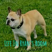 Podcast Life In Ryan's Room