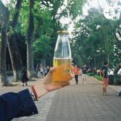 Podcast Life with Lily