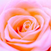 Podcast Love Is What We Are