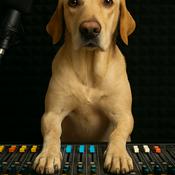 Podcast Luna de Barcelona: Ladrando por el bienestar animal