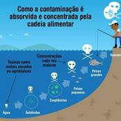 Podcast Magnificação trófica / Biomagnificação