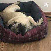 Podcast María de Jesús Martínez Castillo