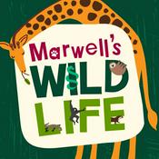 Podcast Marwell's Wild Life