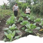 Podcast Máster en Agroecología (UNIA-UCO-UPO)