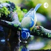 Podcast Meditación para una Relajación Profunda