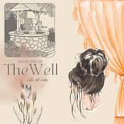 Podcast meet me at The Well