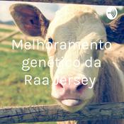 Podcast Melhoramento genético da Raça Jersey